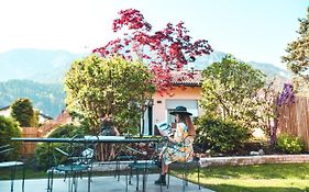 Relax In Pineta